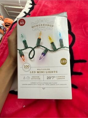 Wondershop Multicolor LED Mini Lights - Green Wire